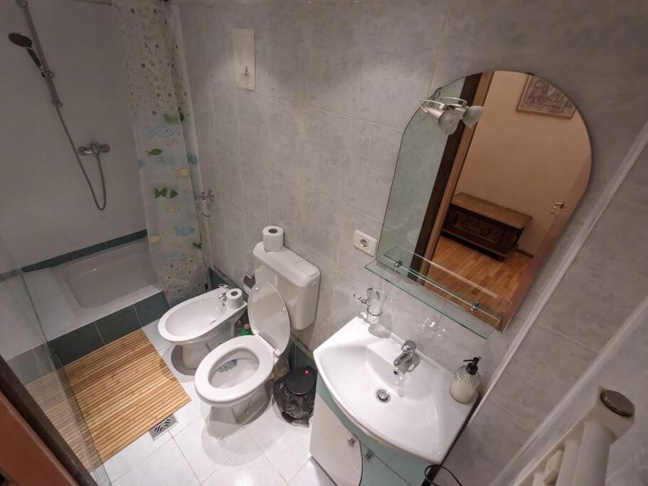 Boheme Central Apartment تيميشورا المظهر الخارجي الصورة